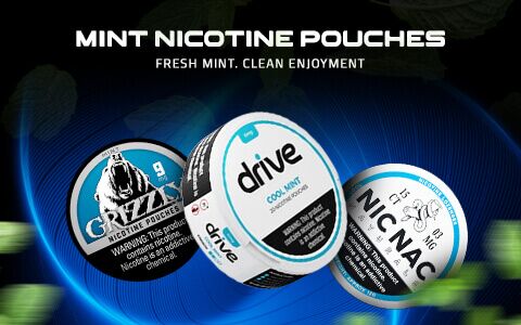 Mint Nicotine Pouches