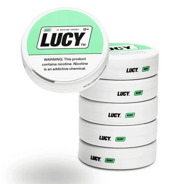 LUCY POUCHES 5 CT - Image 5