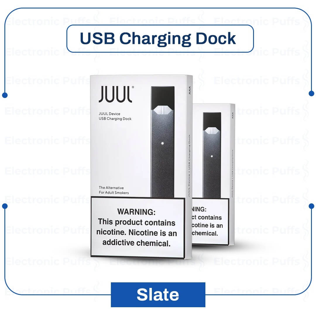 Juul Device Slate - 1PK