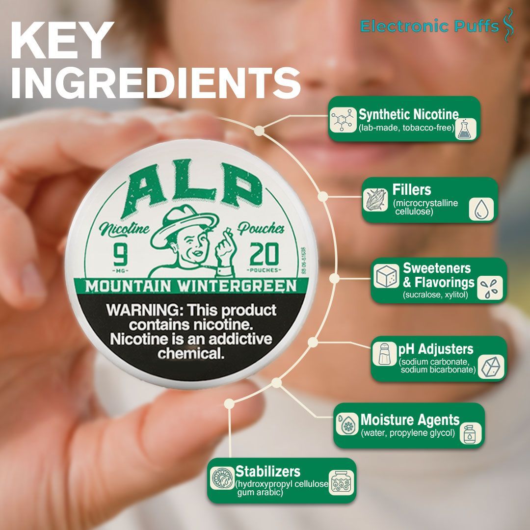 ALP Mountain Wintergreen 9MG Nicotine Pouches – 5 Can Roll