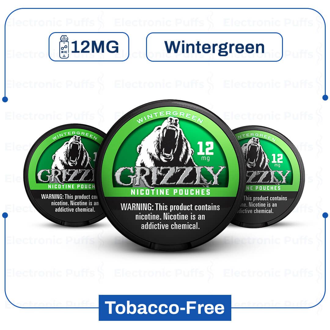 Grizzly Wintergreen 12 mg Nicotine Pouch